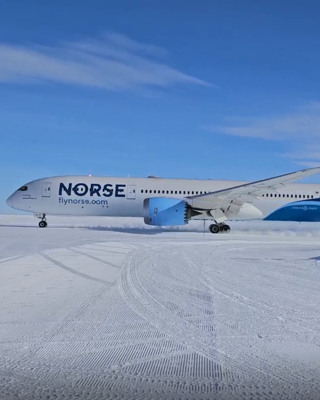 Norse i Antarctica